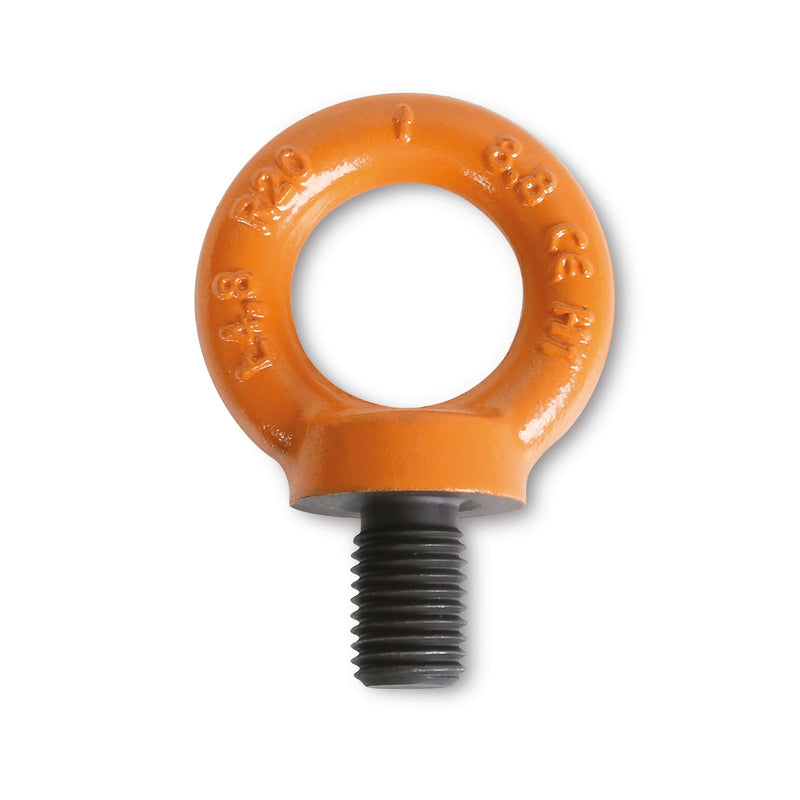 Robur High-Tensile Alloy Steel Lifting Eyebolt M - 8041 M8