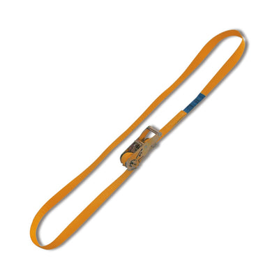 Robur Ring Ratchet Tie Down - 8185 5