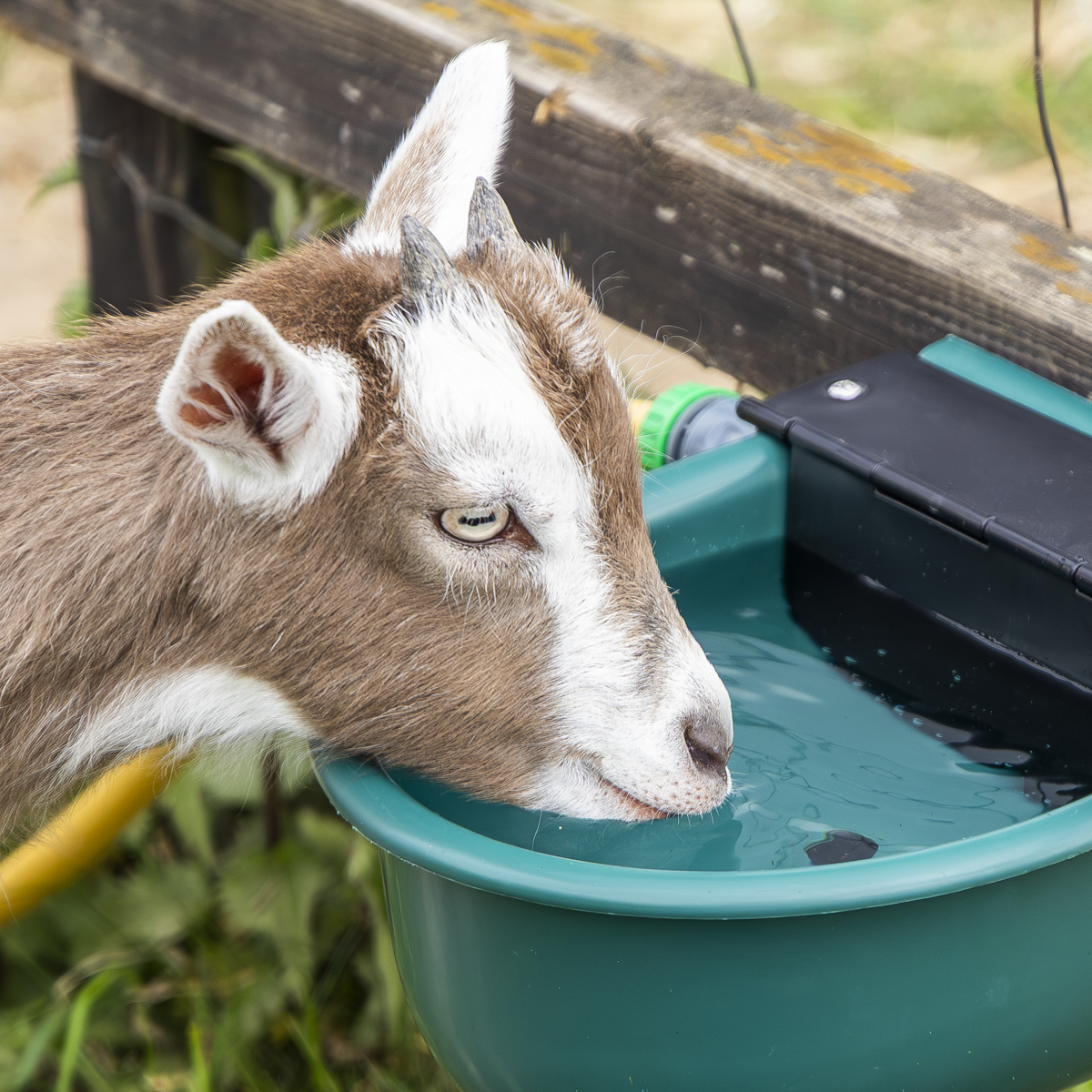 Sealey AFT01 Automatic Cattle Drinking Bowl 4L - additional view 11