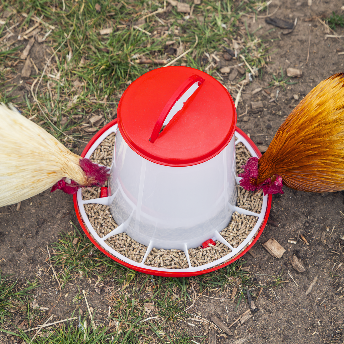 Sealey AFT03 Poultry Feeder 3kg - additional view 5