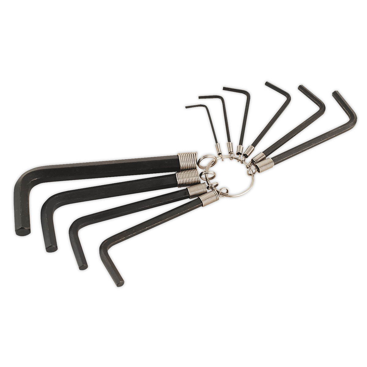 Sealey AK6148 Premier Hex Key Set on Ring 10pc