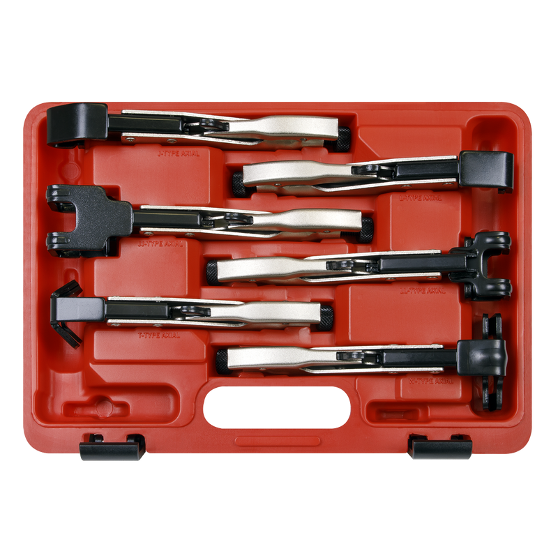 Sealey AK68403 Premier Axial Locking Grip Set 6pc - additional view 2