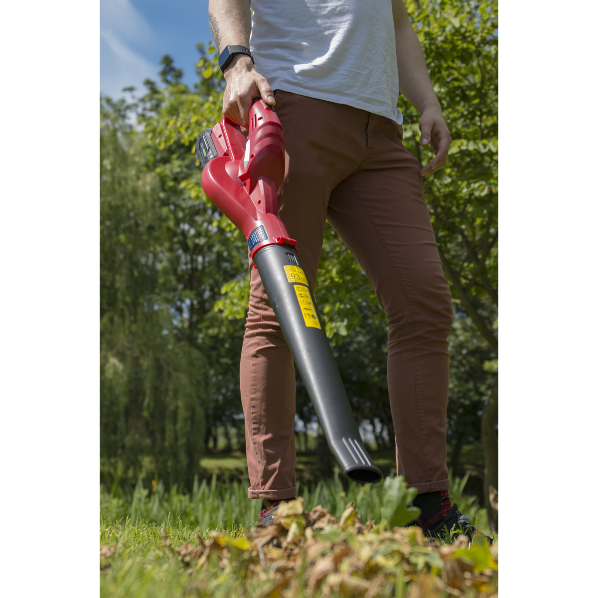 Sealey CB20VCOMBO4 SV20 Series Cordless Leaf Blower with 20V 4Ah Battery & Charger - additional view 9