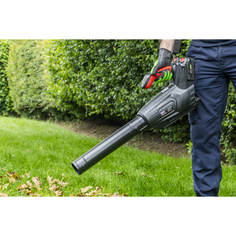 Sealey CP40VB SV20 Series Cordless Blower 40V - Body Only - additional view 16