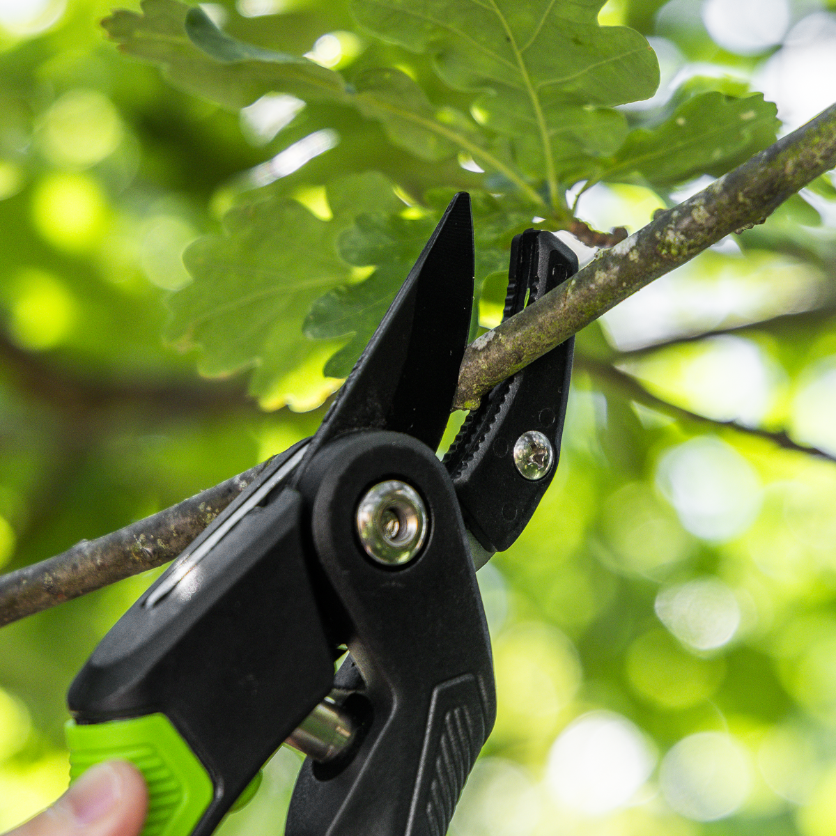 Sealey GTSG005 Anvil Secateurs with Soft Grip Handle, 3-Stage Safety Lock & Carbon Steel Blade, 220mm - additional view 5