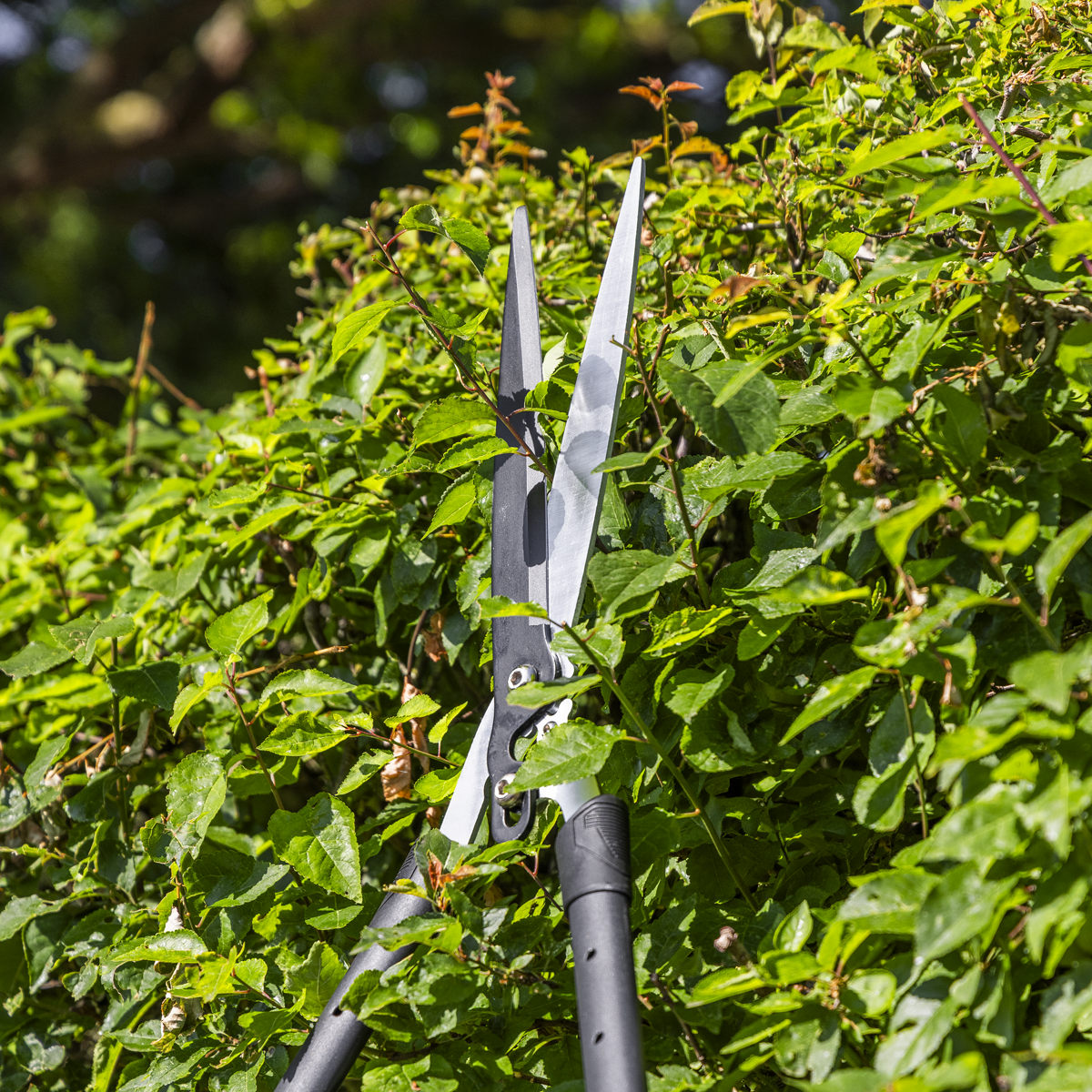Sealey GTSG019 Telescopic Hedge Shears with Soft Grip Handle & Carbon Steel Blade - additional view 7