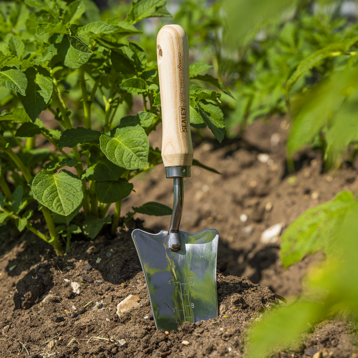 Sealey GTWH004 Premier Slim Head Trowel with Ash Handle & Stainless Steel Blade - additional view 11
