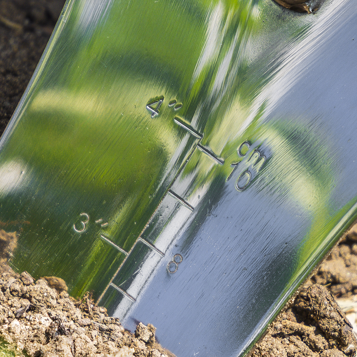 Sealey GTWH004 Premier Slim Head Trowel with Ash Handle & Stainless Steel Blade - additional view 7