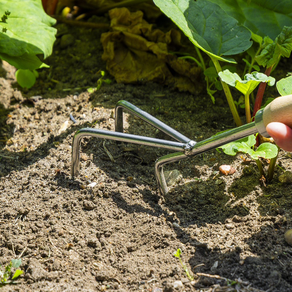 Sealey GTWH005 Premier Cultivator with Short Ash Handle & Stainless Steel Tines - additional view 2
