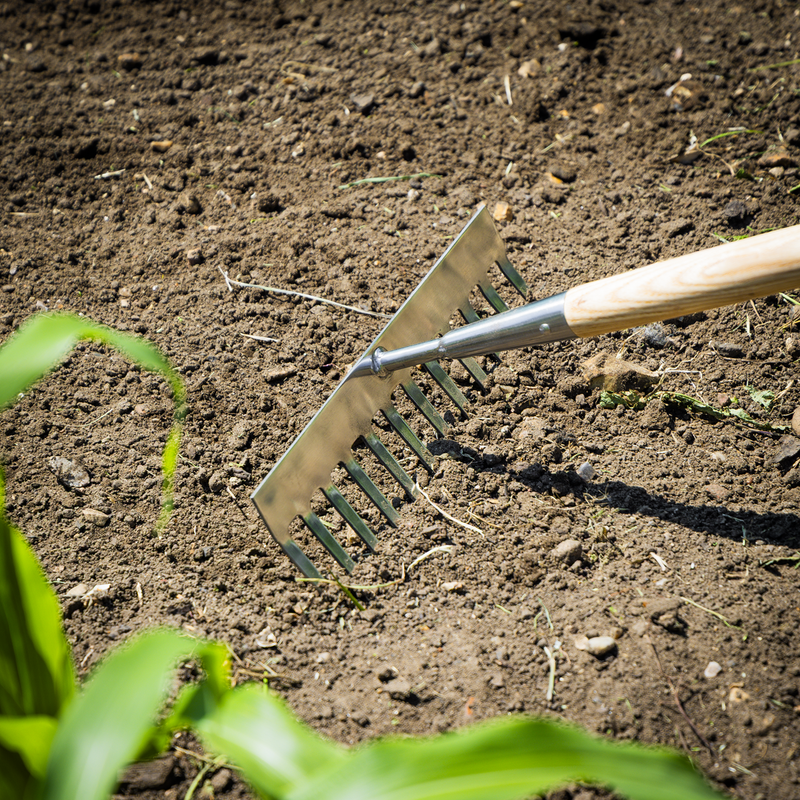 Sealey GTWH011 Premier Garden Rake with Long Ash Handle & Stainless Steel Tines - additional view 6