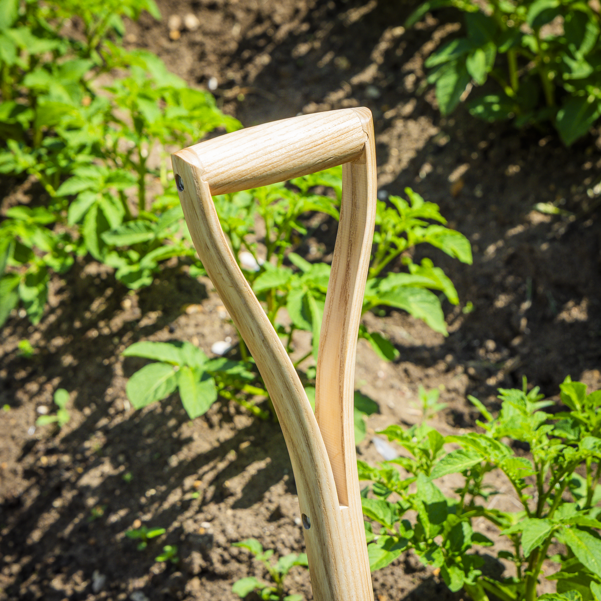 Sealey GTWH016 Premier Digging Fork with Ash Handle & Stainless Steel Tines - additional view 6
