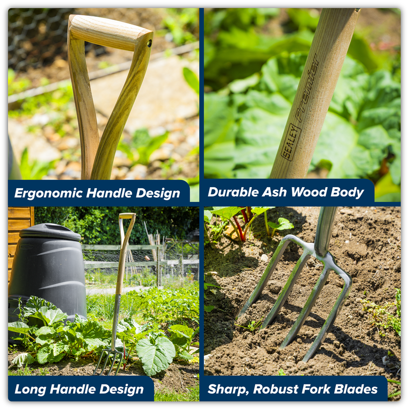 Sealey GTWH018 Premier Border Fork with Ash Handle & Stainless Steel Tines - additional view 5