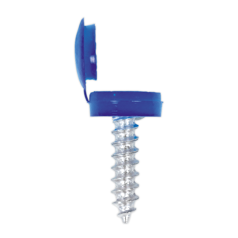 Sealey NPSSET Clip Strip Deal - Mixed Numberplate Screws - additional view 7