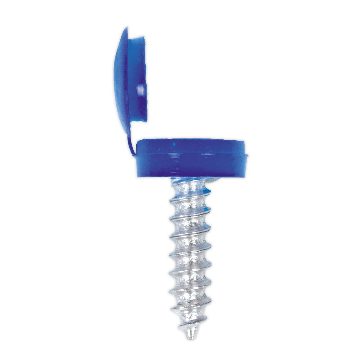 Sealey NPSSET Clip Strip Deal - Mixed Numberplate Screws - additional view 7