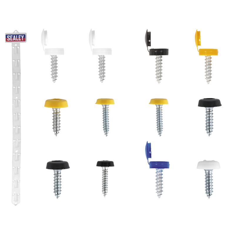 Sealey NPSSET Clip Strip Deal - Mixed Numberplate Screws