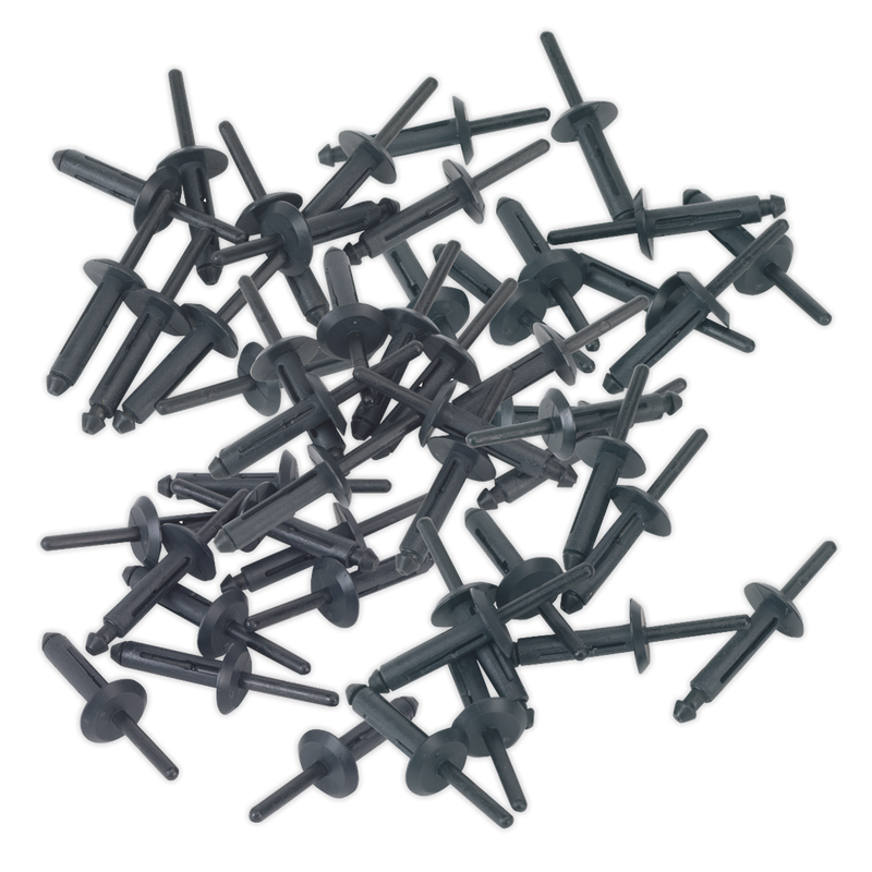 Sealey PR002 Plastic Rivet 6.3 x 25.2mm - Pack of 50