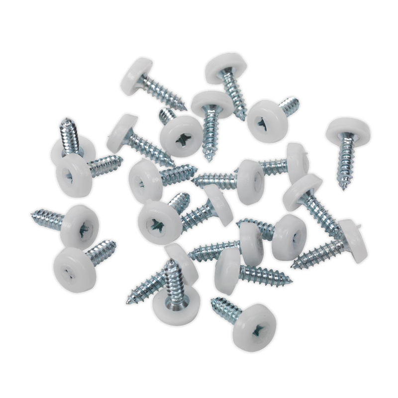 Sealey NPSSET Clip Strip Deal - Mixed Numberplate Screws - additional view 9