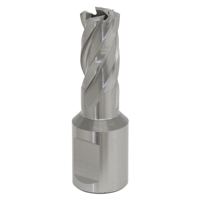Sealey RBHSS13S Worksafe® 13mm HSS Mag Drill Bit Cut Depth 25mm
