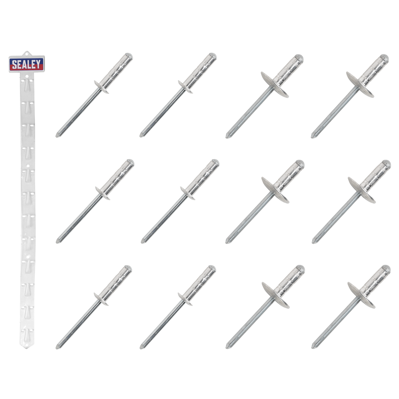 Sealey RVSET Clip Strip Deal - Aluminium Rivets