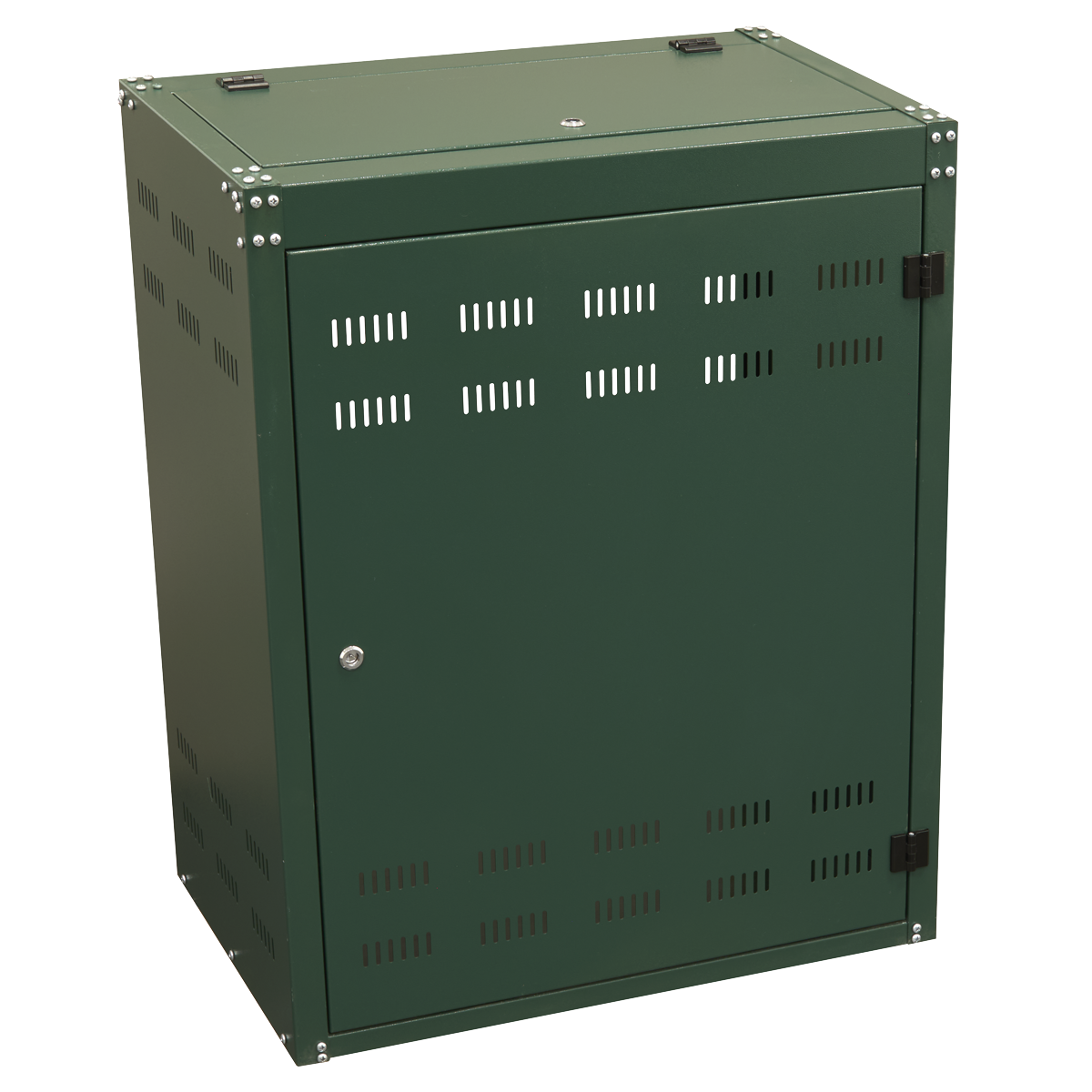Sealey SGCSC219 Solid Gas Cylinder Safety Cabinet - 2 x 19kg