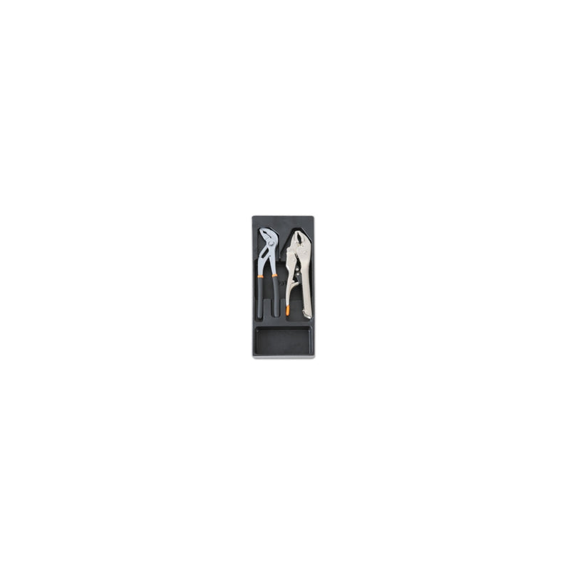 Beta Hard Thermoformed Tray With 2 Tools - T151