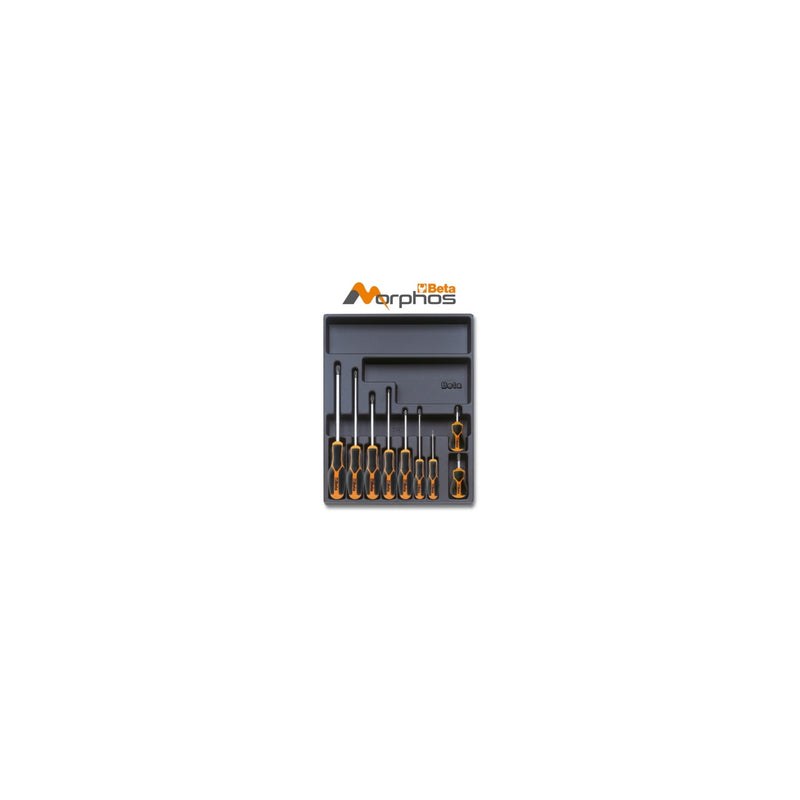 Beta ABS Thermoformed Tray With Morphos Phillips Screwdrivers - T168MH