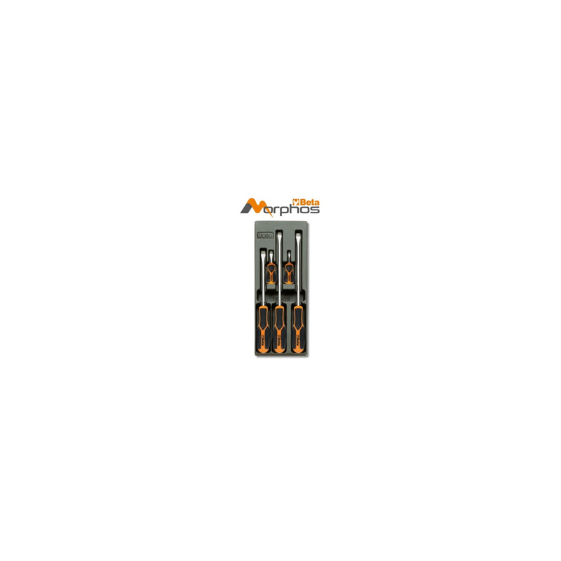Beta ABS Thermoformed Tray With Morphos Slotted Screwdrivers - T201MH
