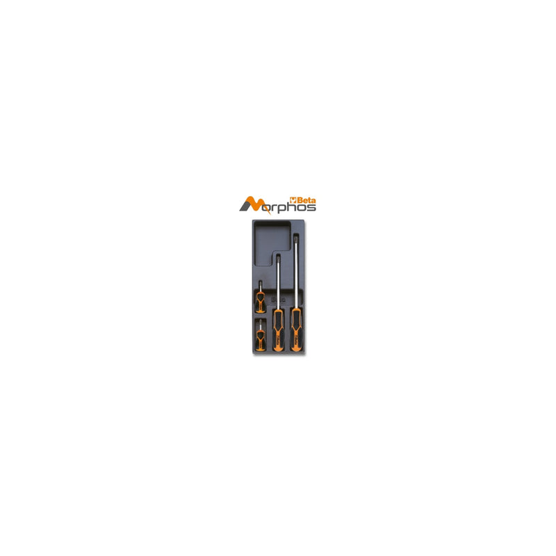 Beta ABS Thermoformed Tray With Morphos Phillips Screwdrivers - T204MH