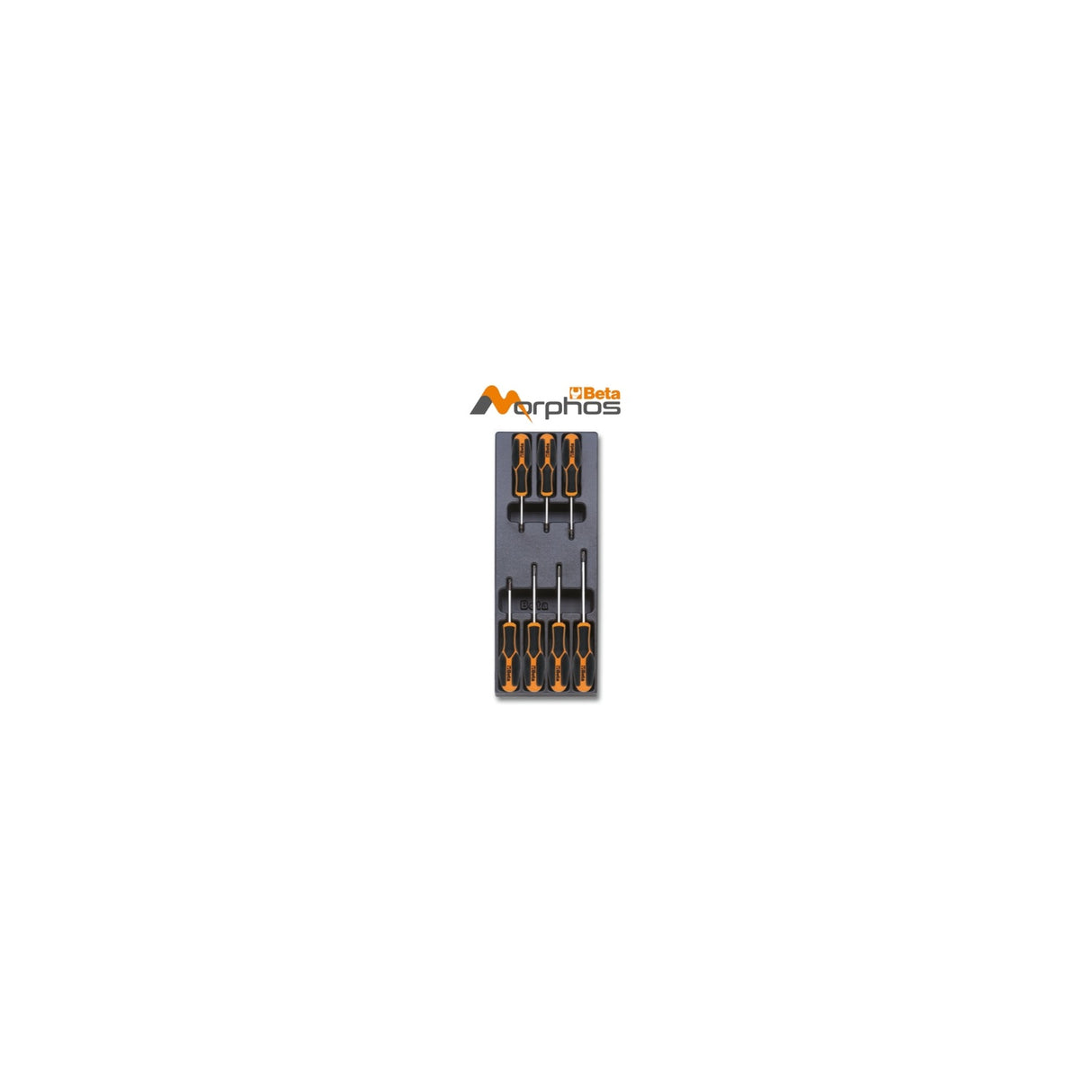 Beta Abs Thermoformed Tray With Morphos Torx Screwdrivers - T205MH