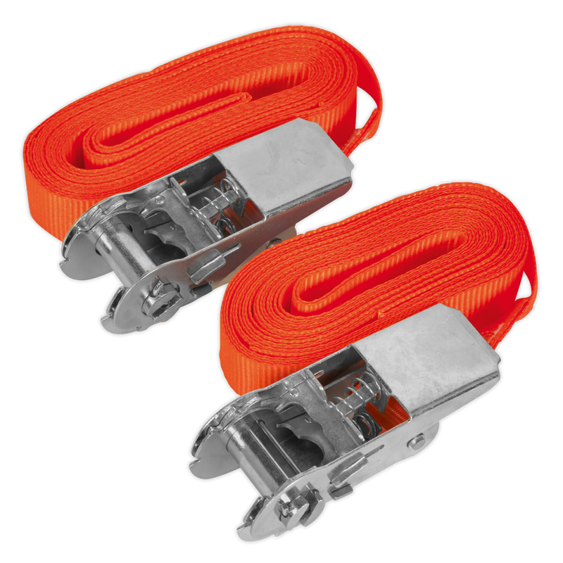 Sealey TD05045E Self-Securing Ratchet Straps 25mm x 4.5m 500kg Breaking Strength - Pair