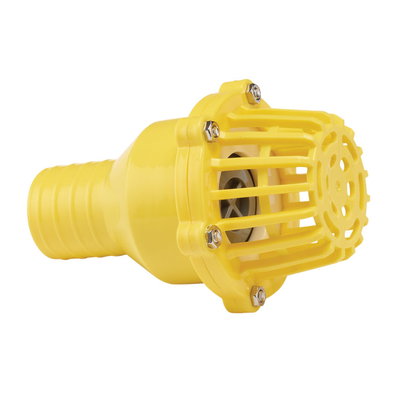 DR-19548 — Foot Valve Strainer, 50mm/2"