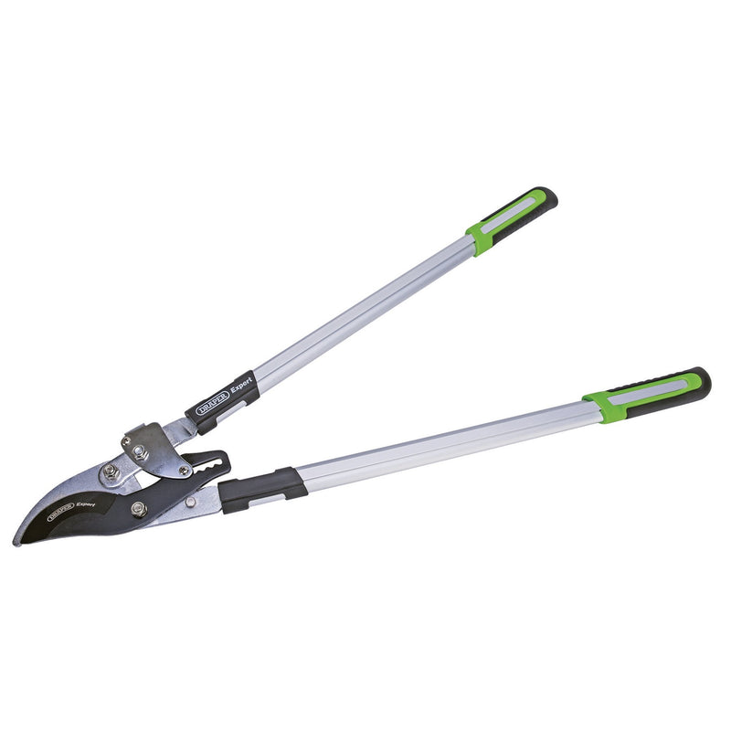DR-94985 — Draper Expert Ratchet Action Bypass Pattern Loppers, 750mm