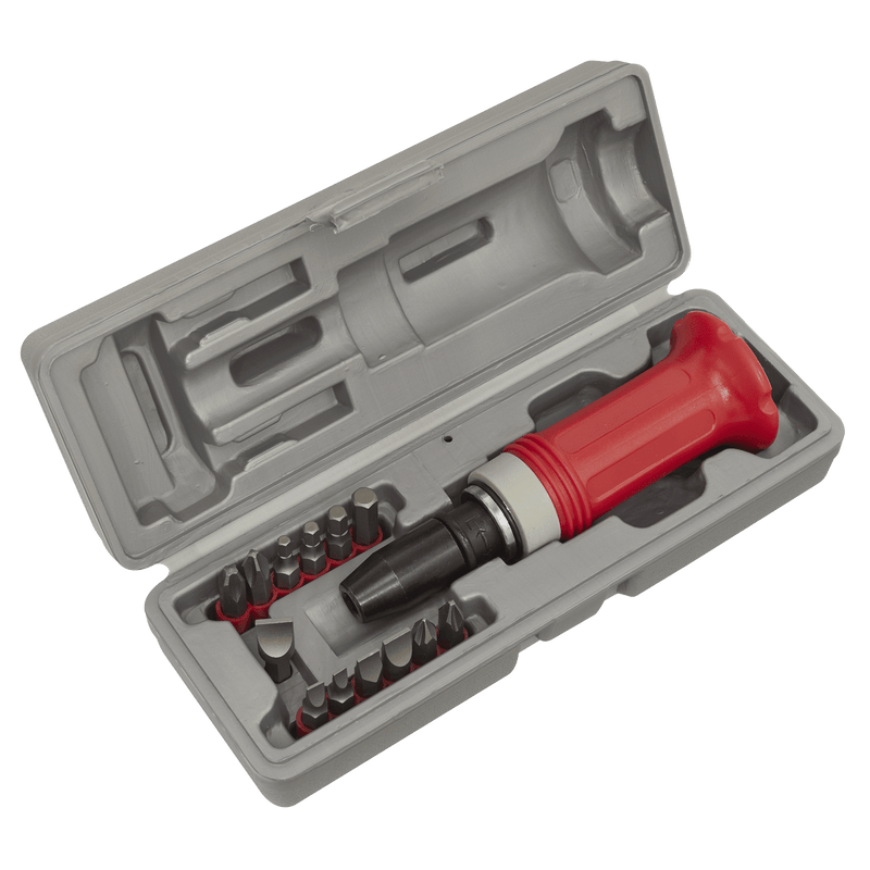 Sealey AK2081 Impact Driver Set 15pc Protection Grip - AK2081 - Sealey Tools UK - Trade Counter Direct