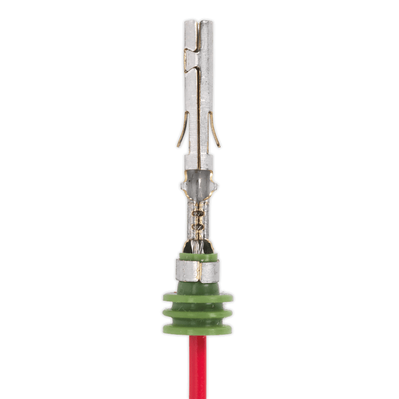 Sealey AK3858/H6 Delphi Weather Pack Crimping Jaws - AK3858/H6 - Sealey Tools UK - Trade Counter Direct