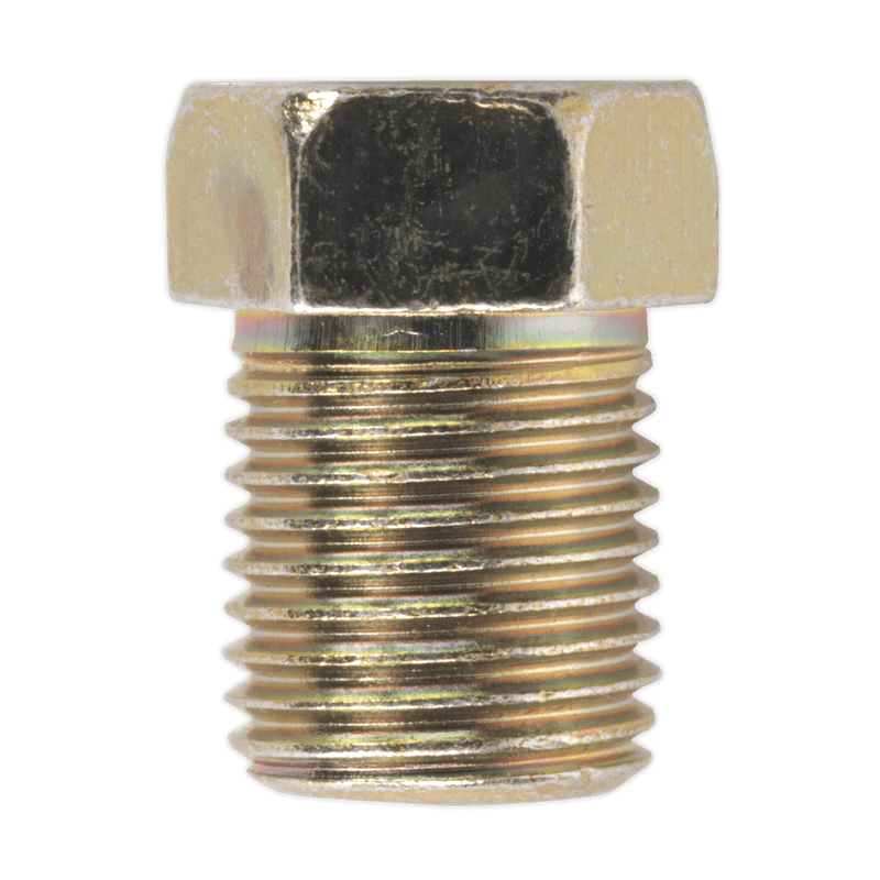 Sealey BN10100FT Brake Pipe Nut M10 x 1mm Full Thread Male Pack of 25 - BN10100FT - Sealey Tools UK - Trade Counter Direct