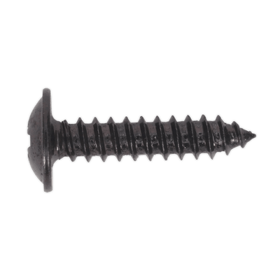 Sealey BST4219 Self Tapping Screw 4.2 x 19mm Flanged Head Black Pozi Pack of 100 - BST4219 - Sealey Tools UK - Trade Counter Direct