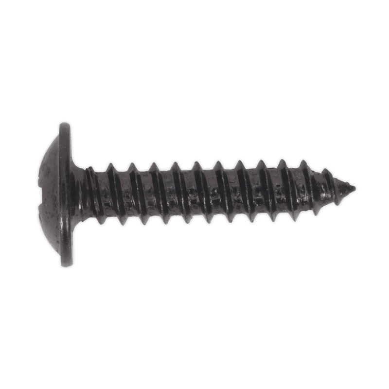 Sealey BST4219 Self Tapping Screw 4.2 x 19mm Flanged Head Black Pozi Pack of 100 - BST4219 - Sealey Tools UK - Trade Counter Direct