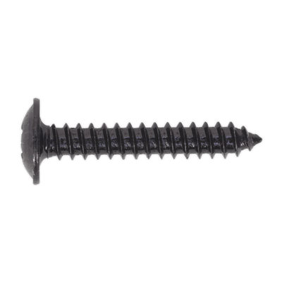 Sealey BST4225 Self Tapping Screw 4.2 x 25mm Flanged Head Black Pozi Pack of 100 - BST4225 - Sealey Tools UK - Trade Counter Direct