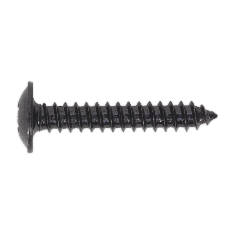 Sealey BST4225 Self Tapping Screw 4.2 x 25mm Flanged Head Black Pozi Pack of 100 - BST4225 - Sealey Tools UK - Trade Counter Direct
