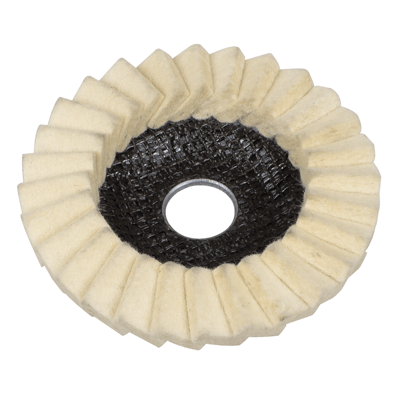 Sealey FFD5 Felt Flap Disc Ø115mm Ø22mm Bore - Pack of 5 - FFD5 - Sealey Tools UK - Trade Counter Direct
