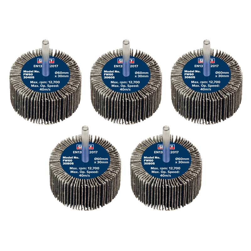 Sealey FW6030ASS 60 x 30mm Abrasive Flap Wheel on 6mm Shaft Assorted Grit - Pack of 5 - FW6030ASS - Sealey Tools UK - Trade Counter Direct