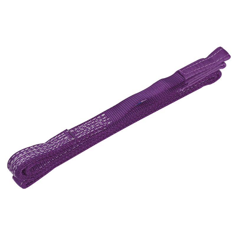 Sealey LS1003 Load Sling 1tonne Capacity 3m - LS1003 - Sealey Tools UK - Trade Counter Direct