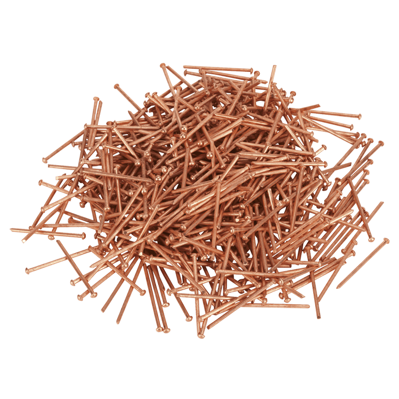 Sealey PS/000250/200 Stud Welding Nail 2.5 x 50mm - Pack of 200 - PS/000250/200 - Sealey Tools UK - Trade Counter Direct