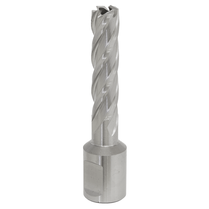 Sealey RBHSS12L Worksafe® 12mm HSS Mag Drill Bit Cut Depth 50mm - RBHSS12L - Sealey Tools UK - Trade Counter Direct