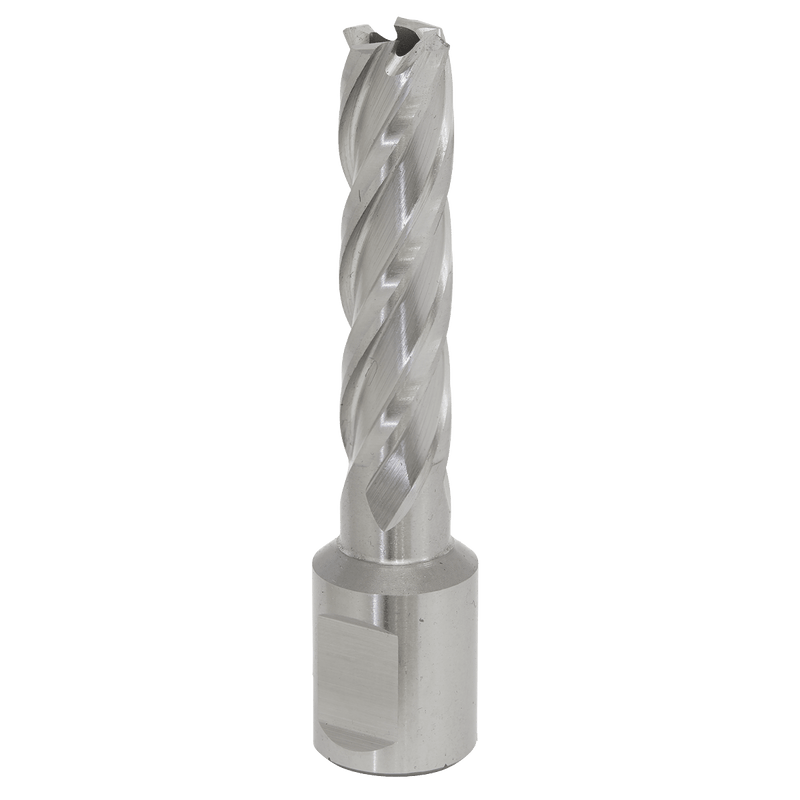 Sealey RBHSS13L Worksafe® 13mm HSS Mag Drill Bit Cut Depth 50mm - RBHSS13L - Sealey Tools UK - Trade Counter Direct