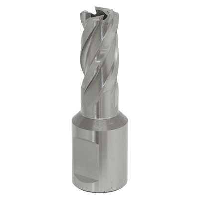 Sealey RBHSS13S Worksafe® 13mm HSS Mag Drill Bit Cut Depth 25mm - RBHSS13S - Sealey Tools UK - Trade Counter Direct
