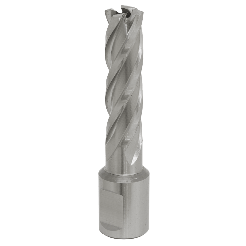 Sealey RBHSS14L Worksafe® 14mm HSS Mag Drill Bit Cut Depth 50mm - RBHSS14L - Sealey Tools UK - Trade Counter Direct
