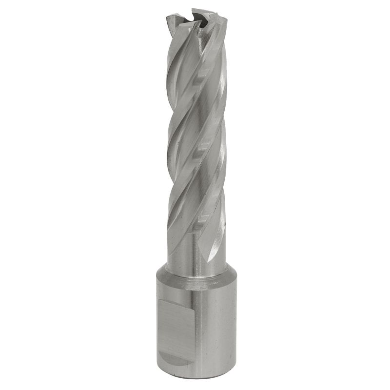 Sealey RBHSS15L Worksafe® 15mm HSS Mag Drill Bit Cut Depth 50mm - RBHSS15L - Sealey Tools UK - Trade Counter Direct