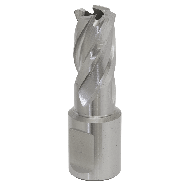 Sealey RBHSS15S Worksafe® 15mm HSS Mag Drill Bit Cut Depth 25mm - RBHSS15S - Sealey Tools UK - Trade Counter Direct