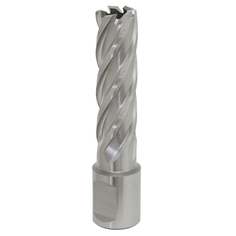 Sealey RBHSS16L Worksafe® 16mm HSS Mag Drill Bit Cut Depth 50mm - RBHSS16L - Sealey Tools UK - Trade Counter Direct